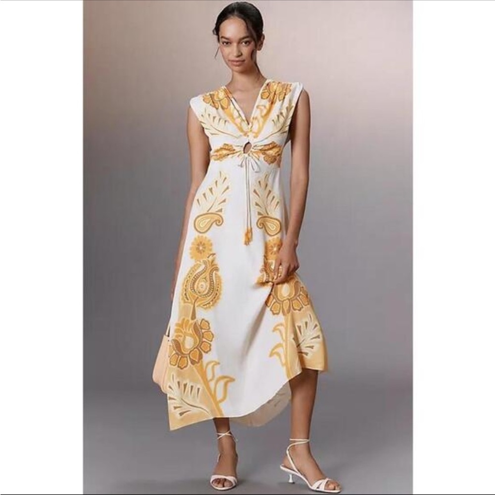 FARM Rio V-Neck Paisley O-Ring A-Line Maxi Dress – Size [your size] (NWT)